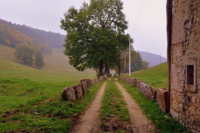 Free download trail via trees mountain path free picture to be edited with GIMP free online image editor