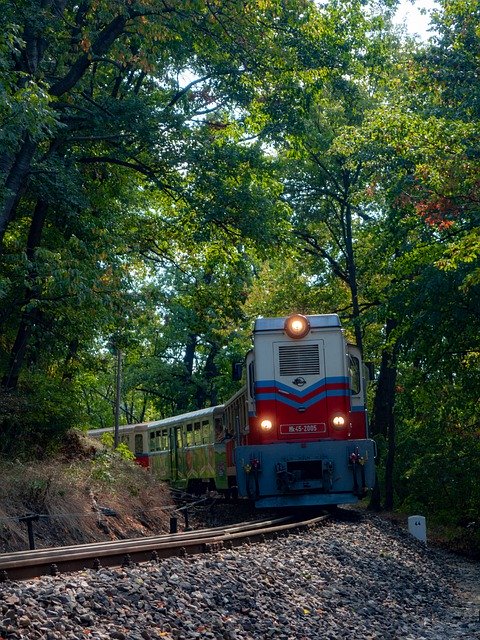 Free download train forest nature autumn retro free picture to be edited with GIMP free online image editor