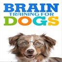 Training For Dogs  screen for extension Chrome web store in OffiDocs Chromium