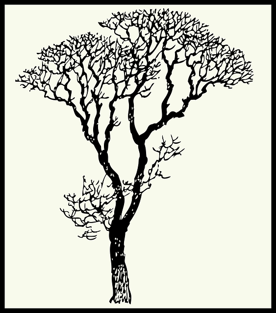 Free download Tree Branches Tall - Free vector graphic on Pixabay free illustration to be edited with GIMP free online image editor