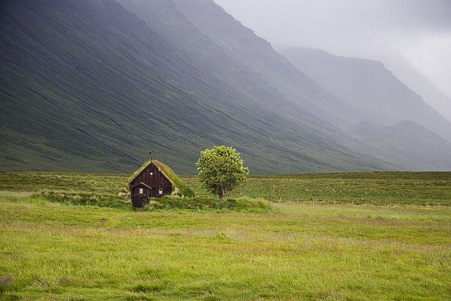 Free download tree grass green mountain nature free picture to be edited with GIMP free online image editor