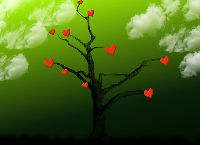 Descarga gratuita Tree Heart Love: foto o imagen gratis y gratuita para editar con el editor de imágenes en línea GIMP