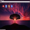 Tree In The Sunset Theme 1920x1080  screen for extension Chrome web store in OffiDocs Chromium