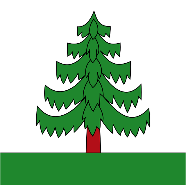 Free download Tree Pine Coniferous - Free vector graphic on Pixabay free illustration to be edited with GIMP free online image editor