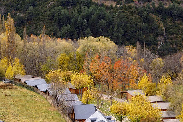 Free download trees houses autumn colors free picture to be edited with GIMP free online image editor