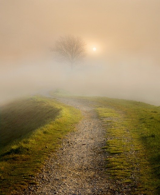 Free download tree single sky cloud sunrise free picture to be edited with GIMP free online image editor