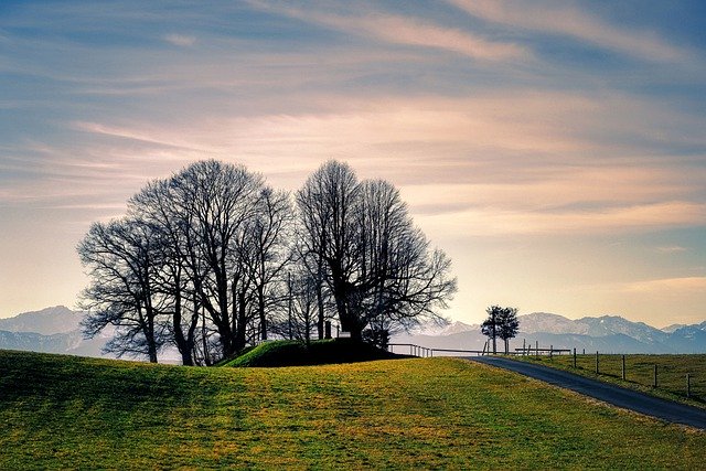 Free download trees meadow mountains pasture free picture to be edited with GIMP free online image editor