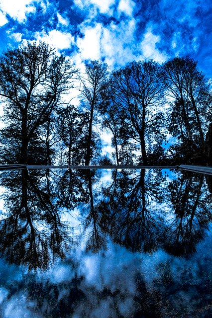 Kostenloser Download Trees Mirroring Blue - kostenloses kostenloses Foto oder Bild zur Bearbeitung mit GIMP Online-Bildbearbeitung