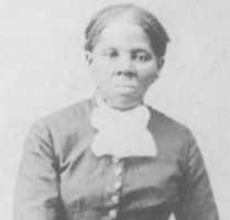 Free download tubman-2016-01-15 free photo or picture to be edited with GIMP online image editor