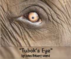 Free download Tuboks Eye free photo or picture to be edited with GIMP online image editor