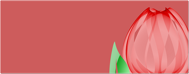 Free download Tulip Banner Greeting Card -  free illustration to be edited with GIMP free online image editor