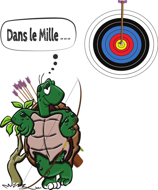 Tải xuống miễn phí Turtle Target Arc - Đồ họa vector miễn phí trên Pixabay