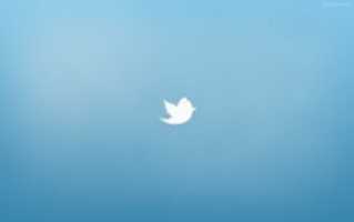 Free download twitter-icon-logo-wallpaper-67335-69636-hd-wallpapers free photo or picture to be edited with GIMP online image editor