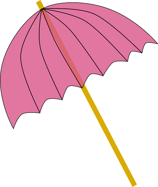 Free download Umbrella Cover Rain - Free vector graphic on Pixabay free illustration to be edited with GIMP free online image editor