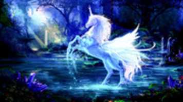 Free download Unicorn free photo or picture to be edited with GIMP online image editor