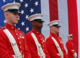 Free download United States Marine Corps Band free photo or picture to be edited with GIMP online image editor