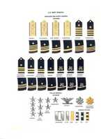 Free download United States Navy Rank Marks free photo or picture to be edited with GIMP online image editor