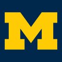 University of Michigan Theme  screen for extension Chrome web store in OffiDocs Chromium