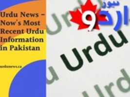 Free download Urdu News - Nows Most Recent Urdu Information in Pakistan free photo or picture to be edited with GIMP online image editor