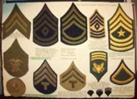 Free download U. S. Army Chevrons From 1917 To 1967 free photo or picture to be edited with GIMP online image editor