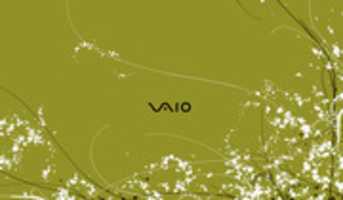 Free download VAIO Artist Series Vol. 1 Wallpaper free photo or picture to be edited with GIMP online image editor