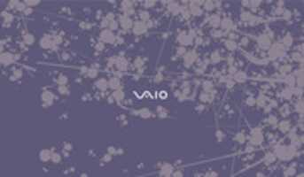 Free download VAIO Artist Series Vol. 2 Wallpaper free photo or picture to be edited with GIMP online image editor