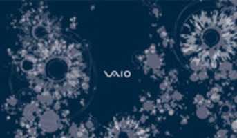 Free download VAIO Artist Series Vol. 3 Wallpaper free photo or picture to be edited with GIMP online image editor