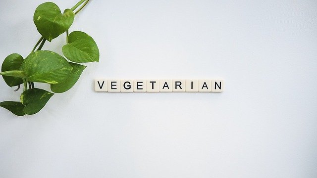 دانلود رایگان Veg Vegetarian Vegan - عکس یا تصویر رایگان برای ویرایش با ویرایشگر تصویر آنلاین GIMP