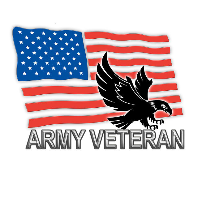 Free download Veteran Flag -  free illustration to be edited with GIMP free online image editor