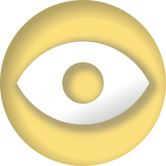 Free download View Eye Impression - Free vector graphic on Pixabay free illustration to be edited with GIMP free online image editor