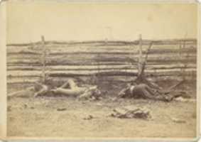 Free download View in the Field, On the West Side of the Hagerstown Road, After the Battle of Antietam, Maryland, September 1862 free photo or picture to be edited with GIMP online image editor