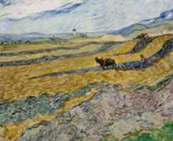 Free download Vincent Van Gogh, Enclosed Field With Ploughman free photo or picture to be edited with GIMP online image editor