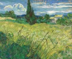 Free download Vincent Van Gogh, Green Field free photo or picture to be edited with GIMP online image editor