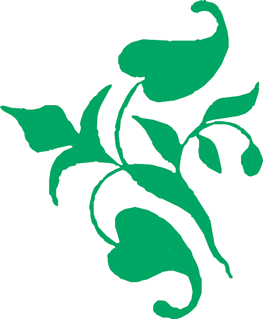 Free download Vine Decoration Green - Free vector graphic on Pixabay free illustration to be edited with GIMP free online image editor