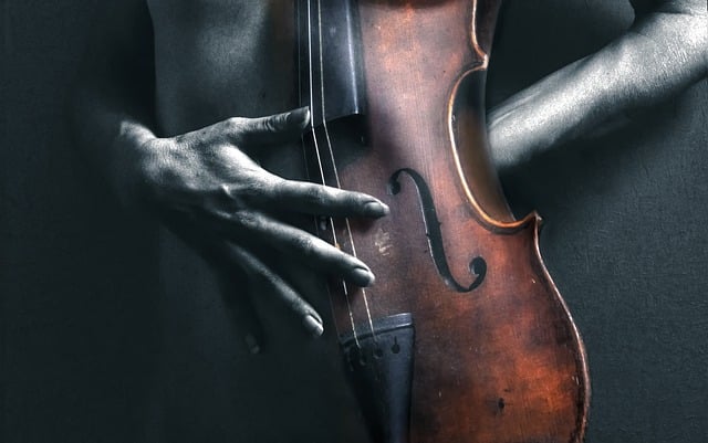 Scarica gratuitamente la melodia del violino, il suono della musica, l'immagine senza passione da modificare con l'editor di immagini online gratuito GIMP