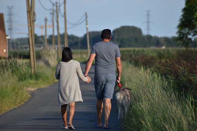 Free download walking dog walk couple free picture to be edited with GIMP free online image editor