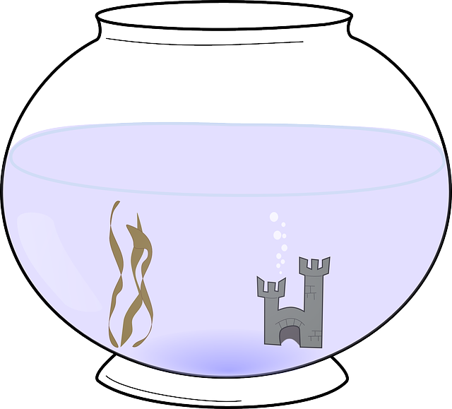 Free download Water Bowl Castle - Free vector graphic on Pixabay free illustration to be edited with GIMP free online image editor