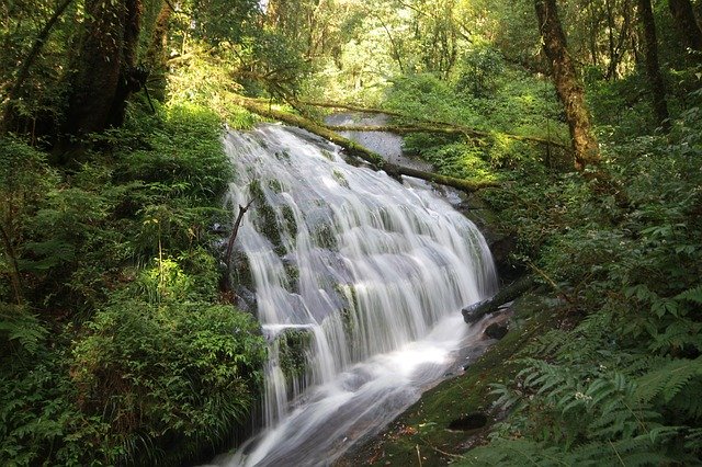 ดาวน์โหลดฟรี Waterfall Pa - ภาพถ่ายหรือรูปภาพฟรีที่จะแก้ไขด้วยโปรแกรมแก้ไขรูปภาพออนไลน์ GIMP