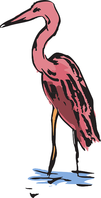 Free download Water Pink Wings - Free vector graphic on Pixabay free illustration to be edited with GIMP free online image editor