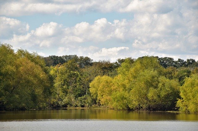 ດາວ​ໂຫຼດ​ຟຣີ Waterscape Landscape Trees - ຮູບ​ພາບ​ຟຣີ​ຫຼື​ຮູບ​ພາບ​ທີ່​ຈະ​ໄດ້​ຮັບ​ການ​ແກ້​ໄຂ​ກັບ GIMP ອອນ​ໄລ​ນ​໌​ບັນ​ນາ​ທິ​ການ​ຮູບ​ພາບ​