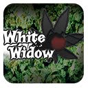 Weed White Widow  screen for extension Chrome web store in OffiDocs Chromium