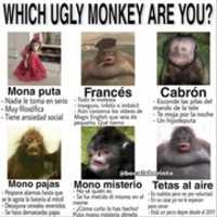 Free download Which ugly monkey are you? [ Meme ] free photo or picture to be edited with GIMP online image editor