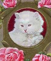 Free download White Cat with Pink Roses (1907) free photo or picture to be edited with GIMP online image editor