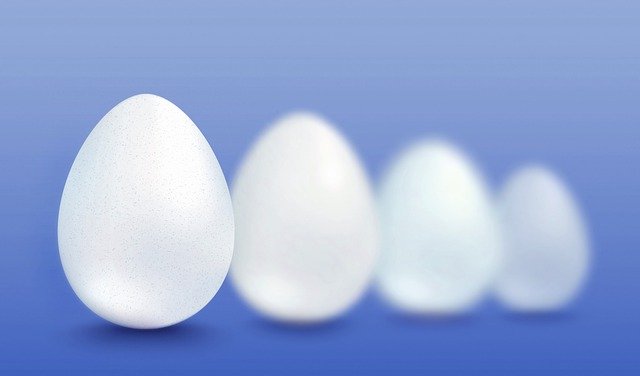 Free download white egg eggs background easter free picture to be edited with GIMP free online image editor