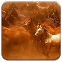 Wild Horses  screen for extension Chrome web store in OffiDocs Chromium