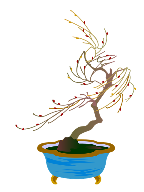 Free download Willow Bonsai Gardening -  free illustration to be edited with GIMP free online image editor