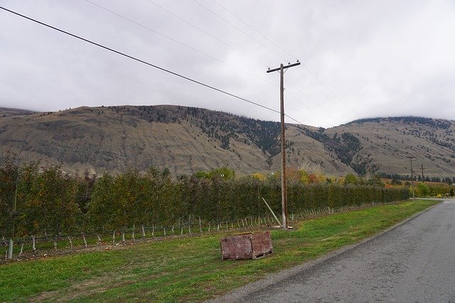 Ücretsiz indir Wine Making Osoyoos - GIMP çevrimiçi resim düzenleyiciyle düzenlenecek ücretsiz fotoğraf veya resim