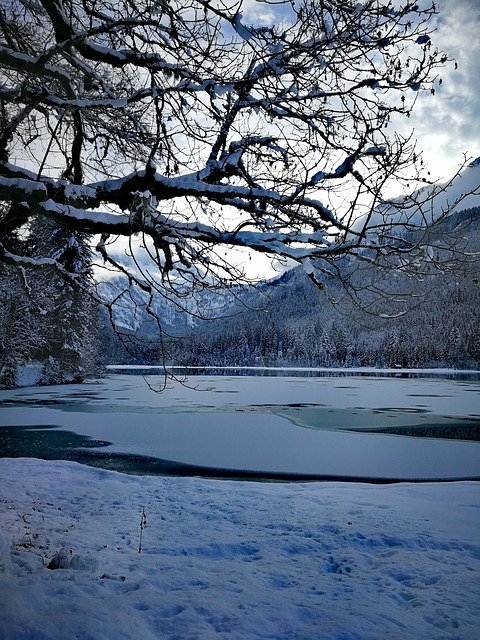 Free download winter snow cold nature forest free picture to be edited with GIMP free online image editor