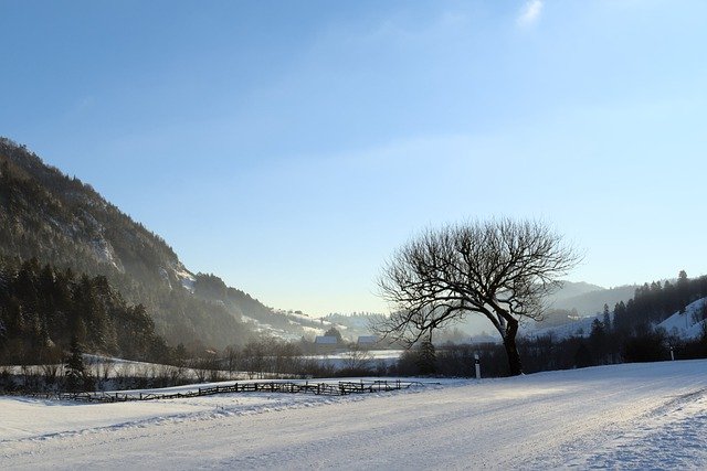 Free download winter snow tree nature road free picture to be edited with GIMP free online image editor