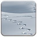 Pantalla Winter Tracks para extensión Chrome web store en OffiDocs Chromium